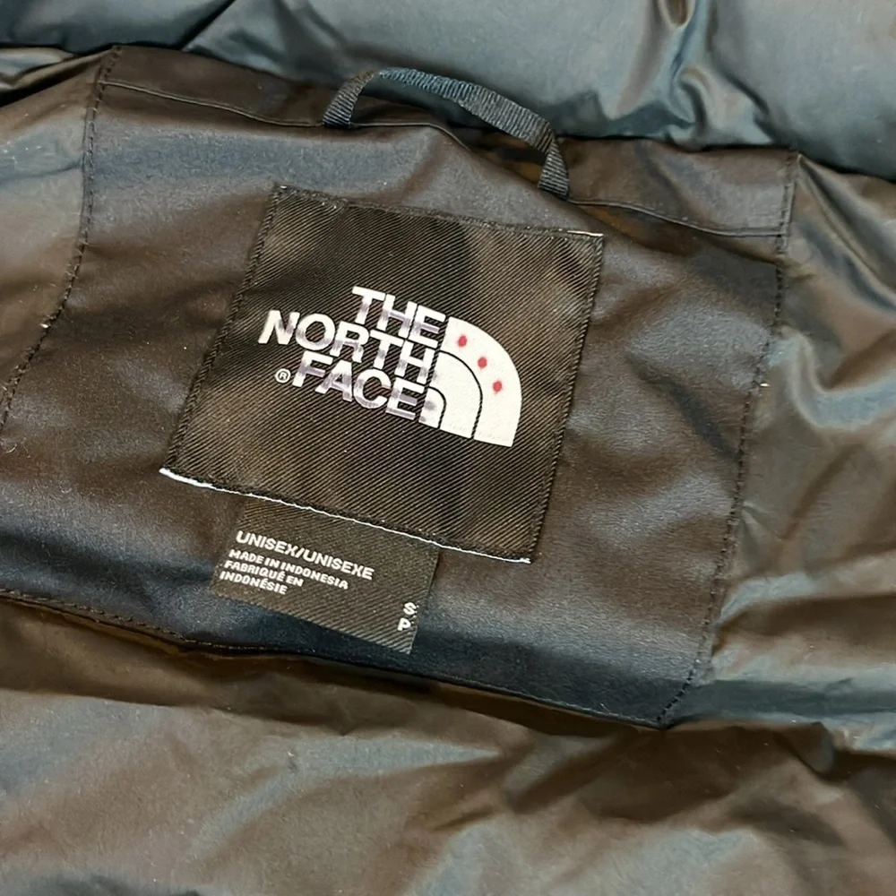Urban Outfitters x North Face Dryvent Rusts Jacket Size Small NWT